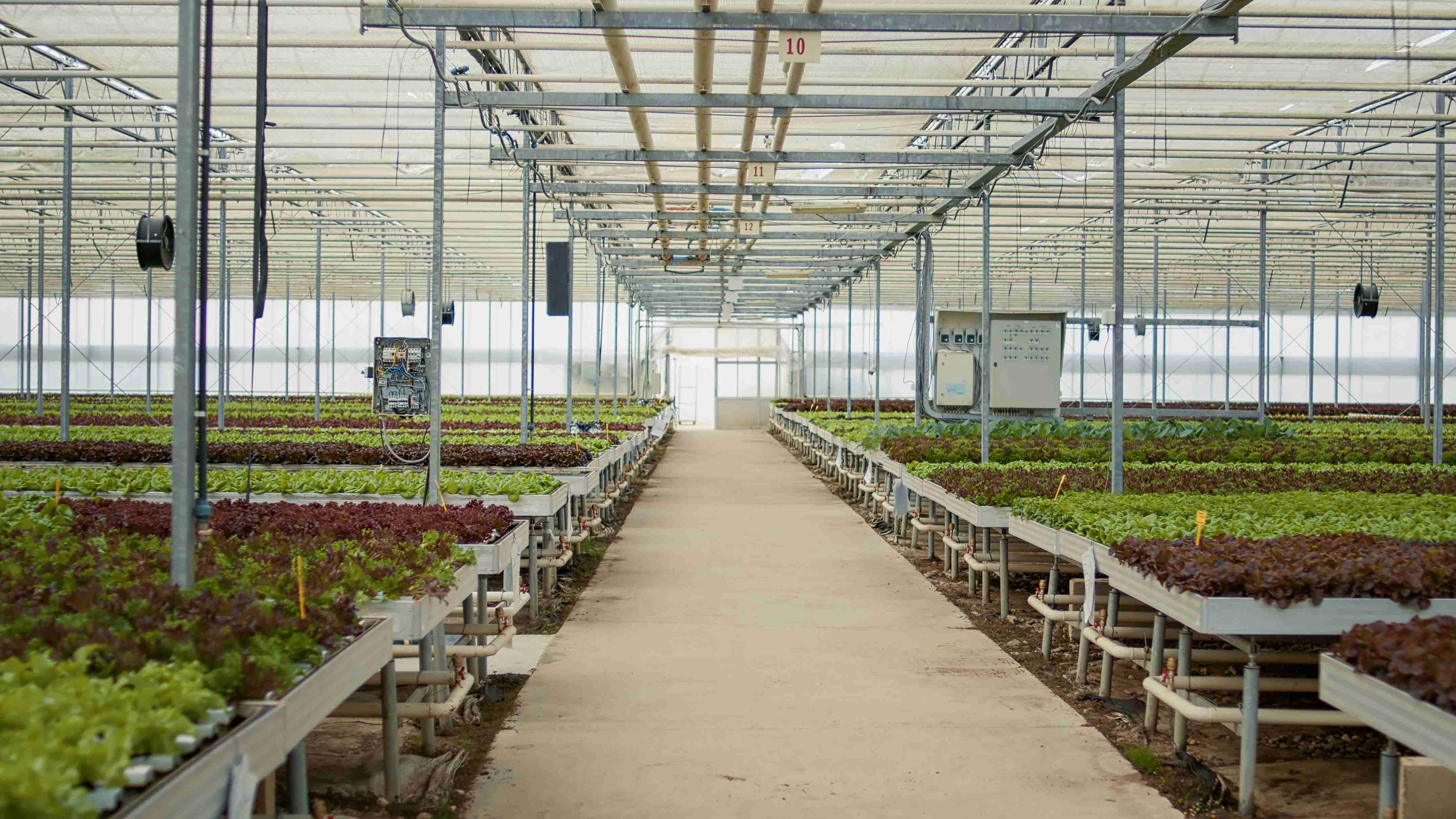 Dhanvantri Farms Hydroponics overview